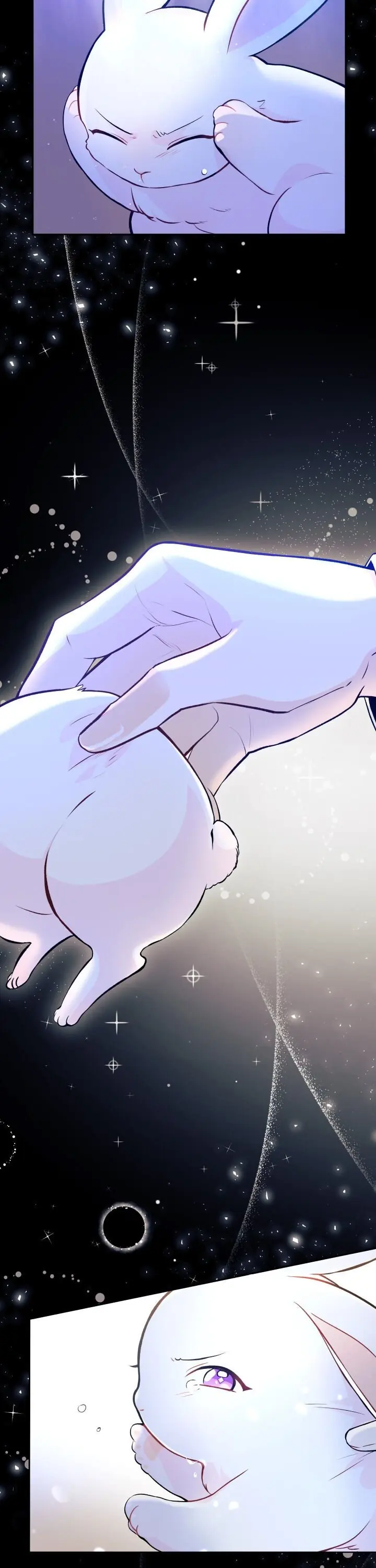 The Symbiotic Relationship Between the Rabbit and the Black Panther Chapter 1 Page 12