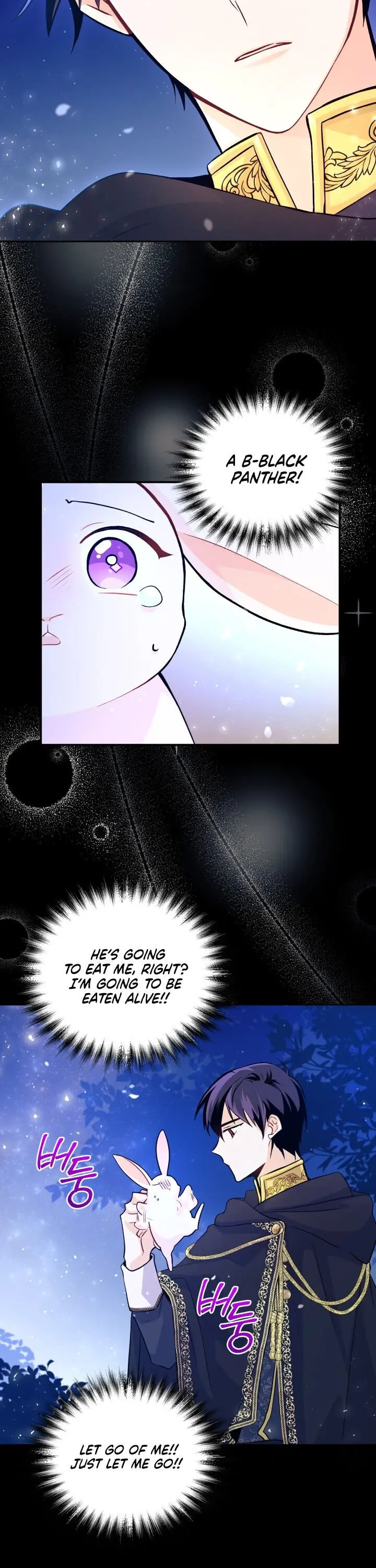 The Symbiotic Relationship Between the Rabbit and the Black Panther Chapter 1 Page 15