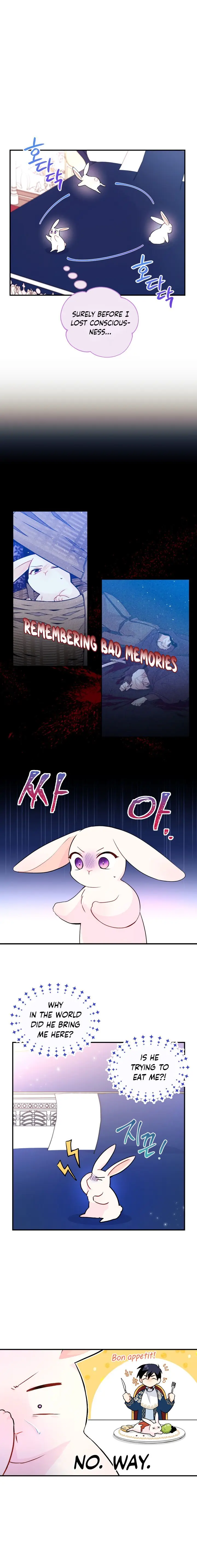 The Symbiotic Relationship Between the Rabbit and the Black Panther Chapter 2 Page 4