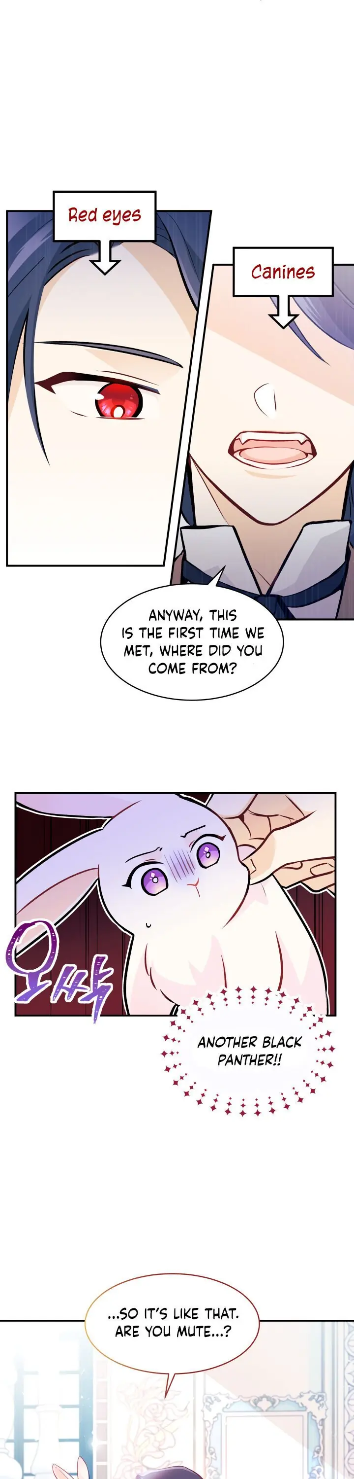 The Symbiotic Relationship Between the Rabbit and the Black Panther Chapter 2 Page 9