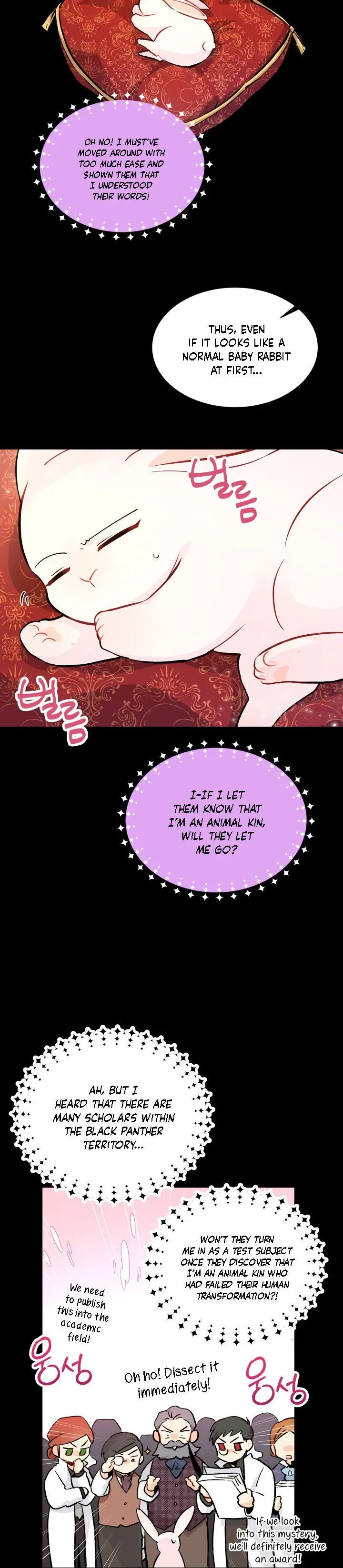 The Symbiotic Relationship Between the Rabbit and the Black Panther Chapter 2 Page 15