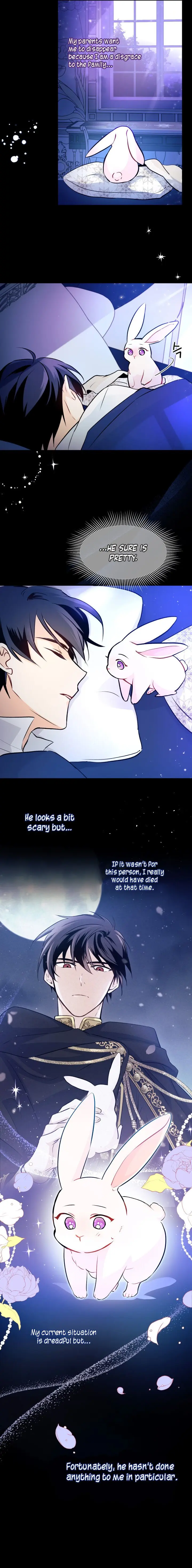 The Symbiotic Relationship Between the Rabbit and the Black Panther Chapter 2 Page 28