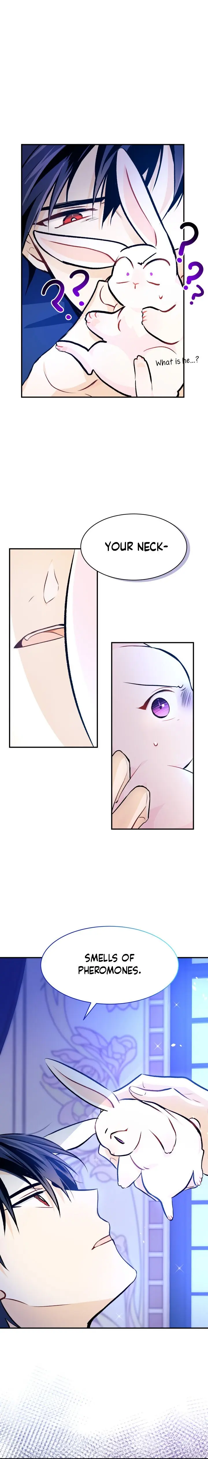 The Symbiotic Relationship Between the Rabbit and the Black Panther Chapter 4 Page 17