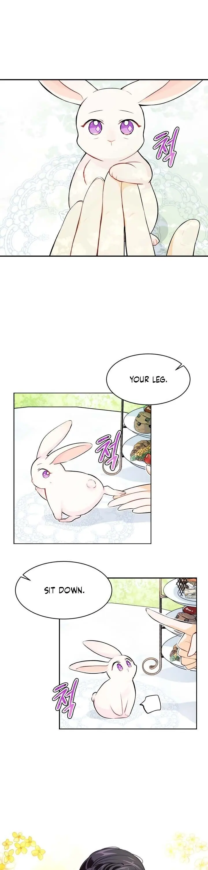 The Symbiotic Relationship Between the Rabbit and the Black Panther Chapter 5 Page 7