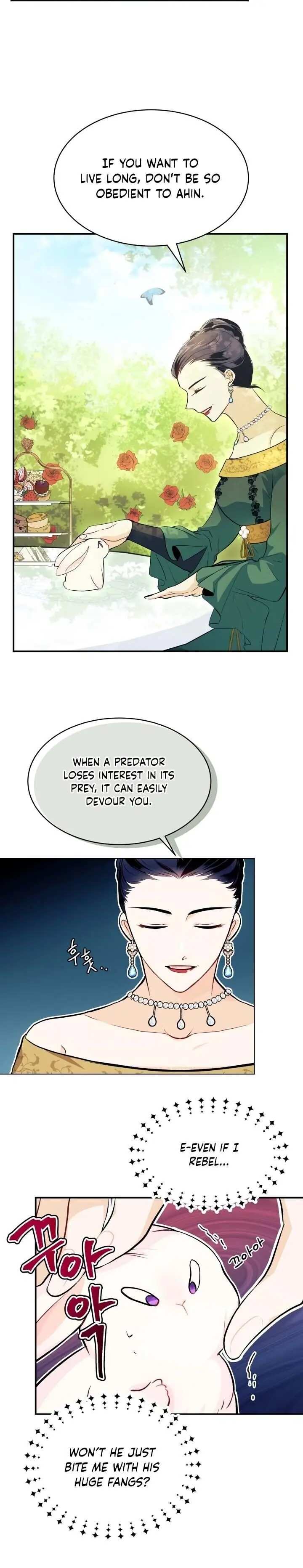 The Symbiotic Relationship Between the Rabbit and the Black Panther Chapter 5 Page 11
