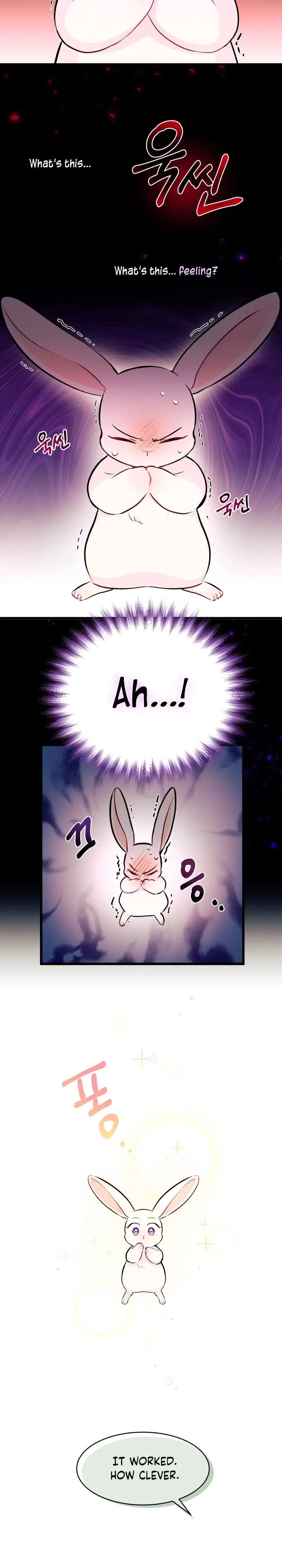 The Symbiotic Relationship Between the Rabbit and the Black Panther Chapter 6 Page 7