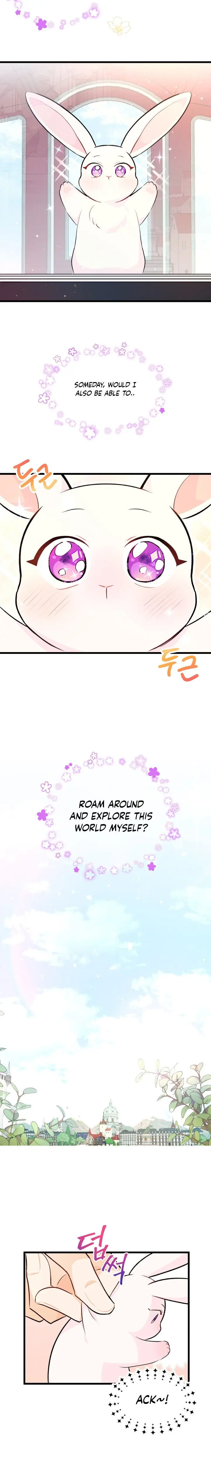The Symbiotic Relationship Between the Rabbit and the Black Panther Chapter 6 Page 17