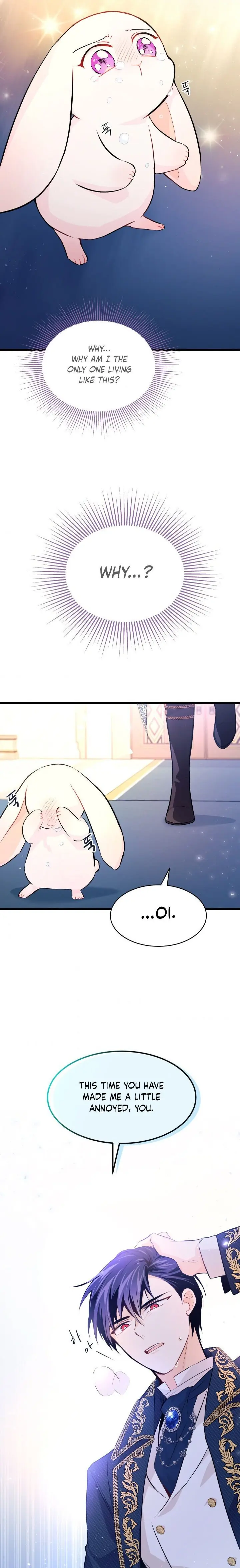 The Symbiotic Relationship Between the Rabbit and the Black Panther Chapter 7 Page 17