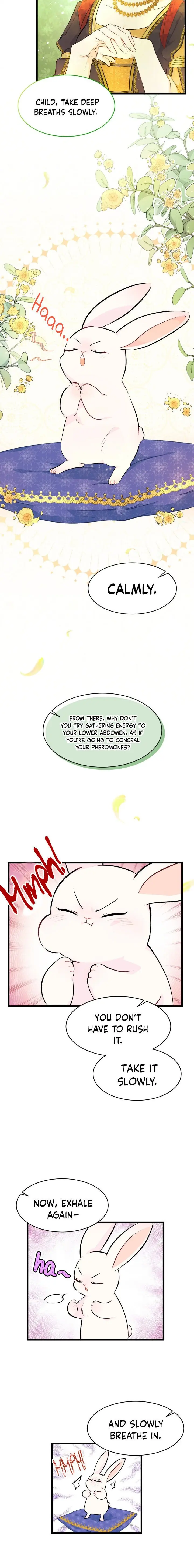The Symbiotic Relationship Between the Rabbit and the Black Panther Chapter 8 Page 4