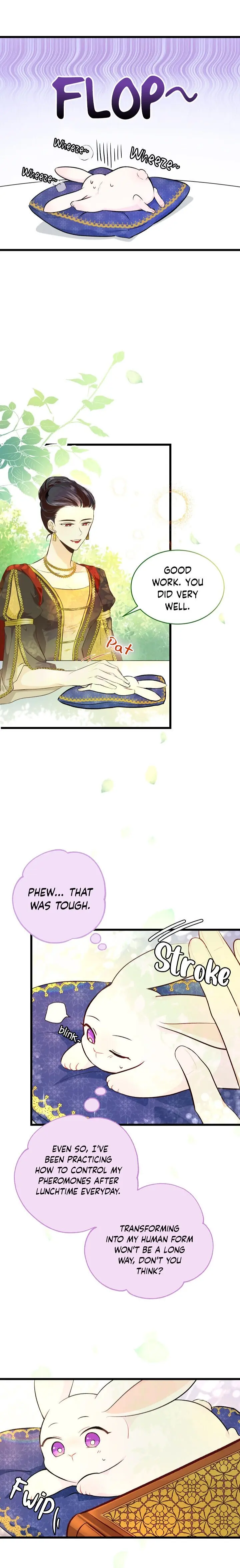 The Symbiotic Relationship Between the Rabbit and the Black Panther Chapter 8 Page 6