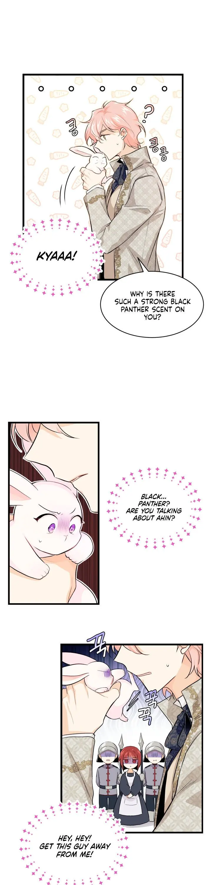 The Symbiotic Relationship Between the Rabbit and the Black Panther Chapter 9 Page 3