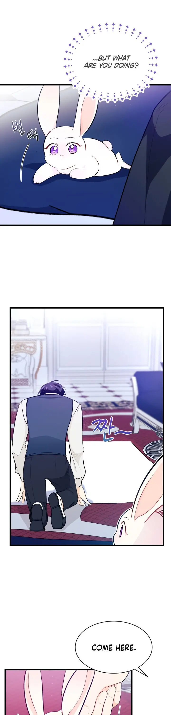 The Symbiotic Relationship Between the Rabbit and the Black Panther Chapter 10 Page 11