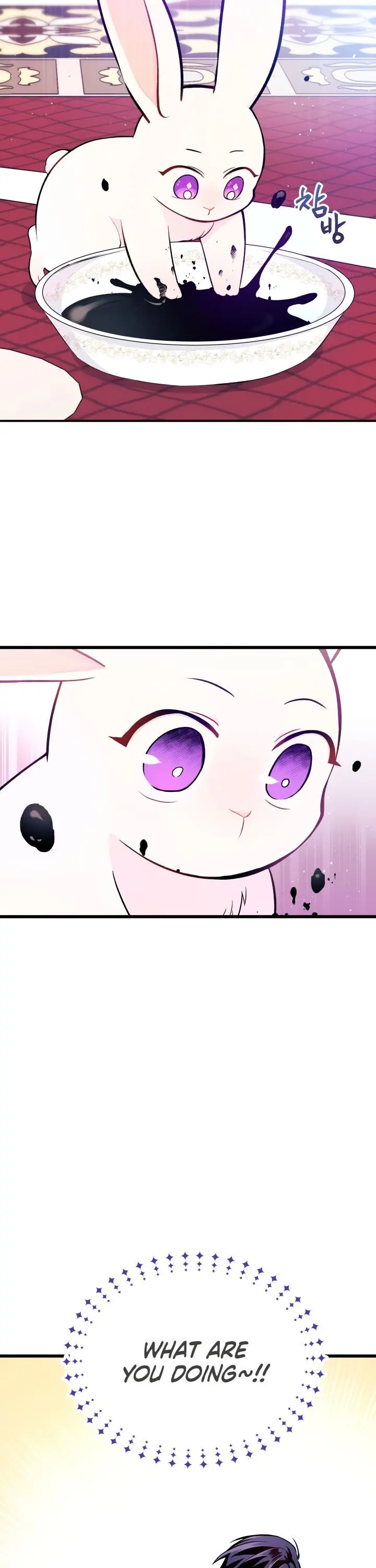 The Symbiotic Relationship Between the Rabbit and the Black Panther Chapter 10 Page 14