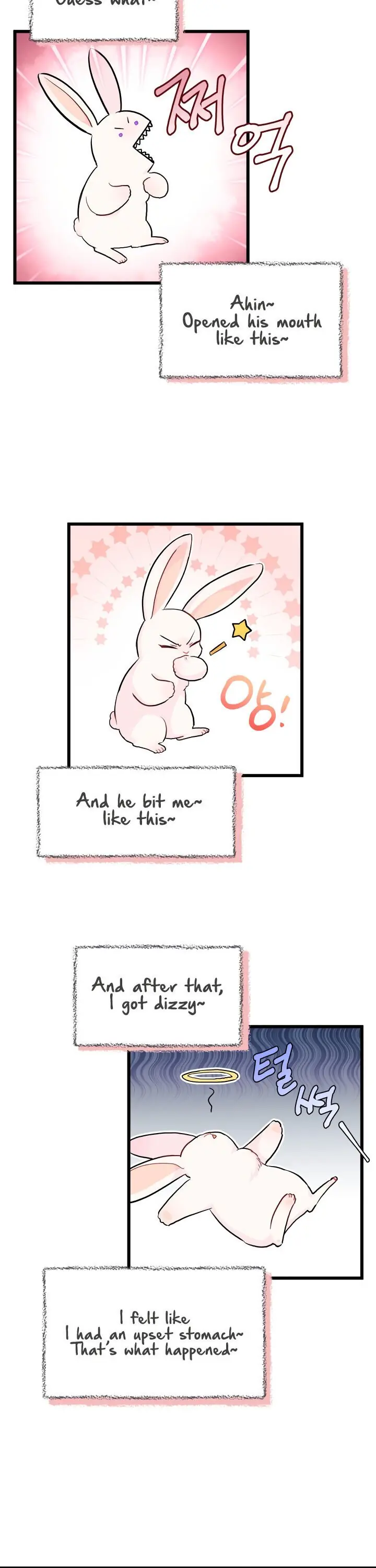 The Symbiotic Relationship Between the Rabbit and the Black Panther Chapter 11 Page 21