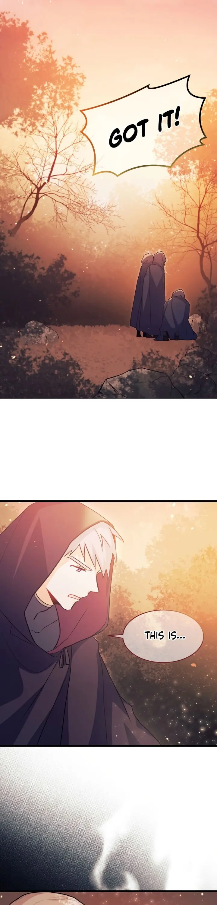 The Symbiotic Relationship Between the Rabbit and the Black Panther Chapter 11 Page 26