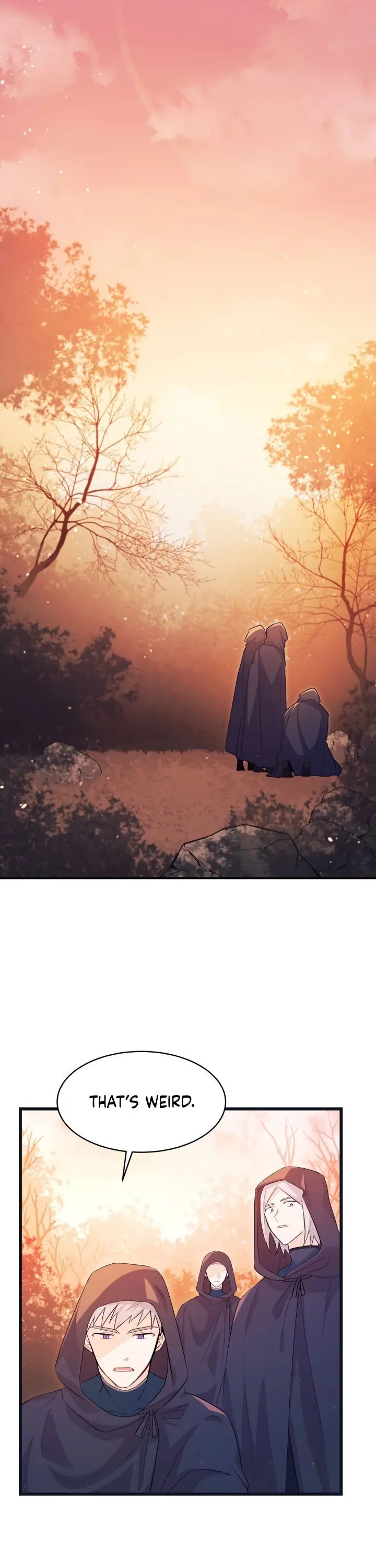 The Symbiotic Relationship Between the Rabbit and the Black Panther Chapter 12 Page 2
