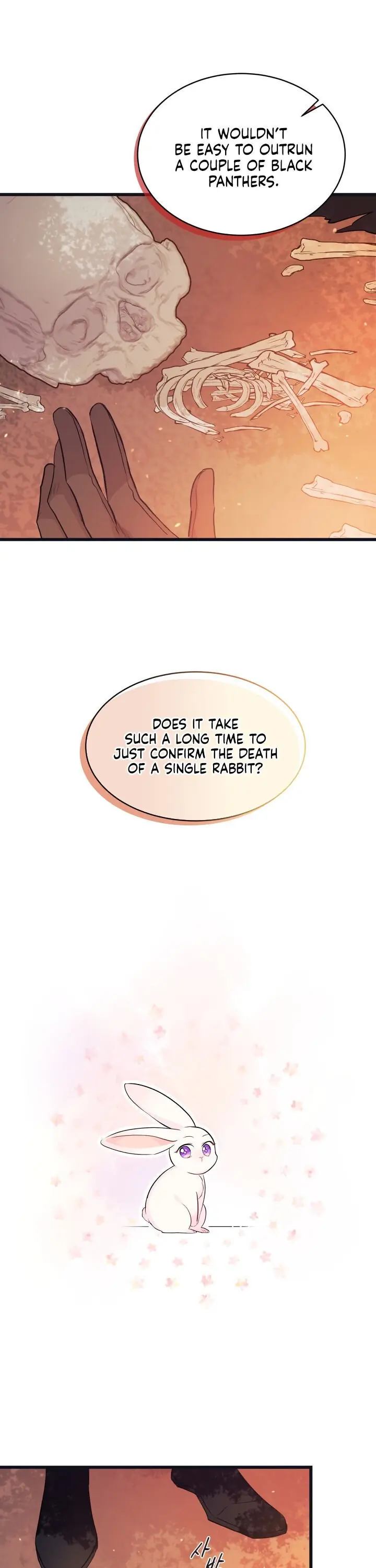 The Symbiotic Relationship Between the Rabbit and the Black Panther Chapter 12 Page 3