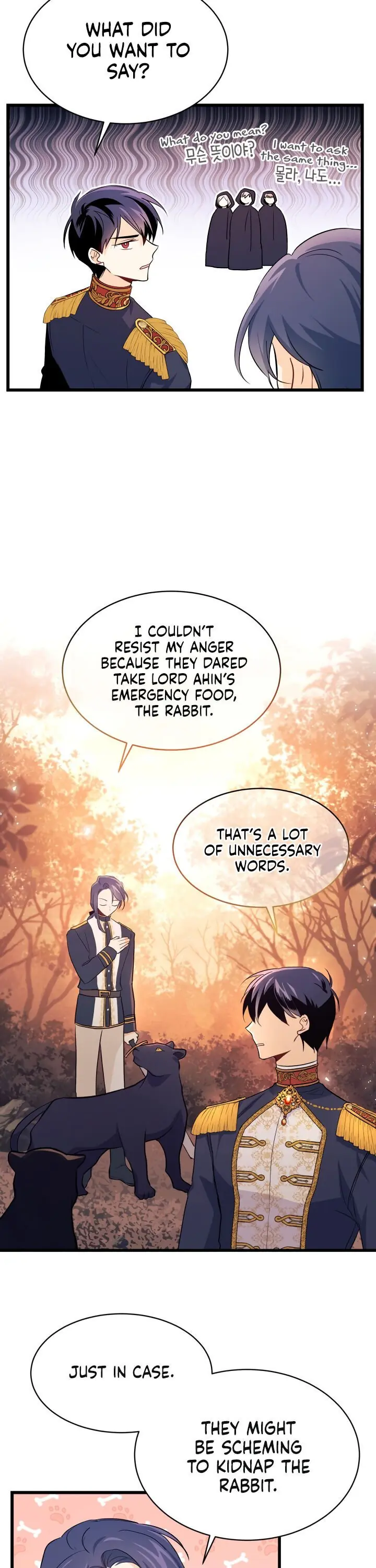 The Symbiotic Relationship Between the Rabbit and the Black Panther Chapter 12 Page 11