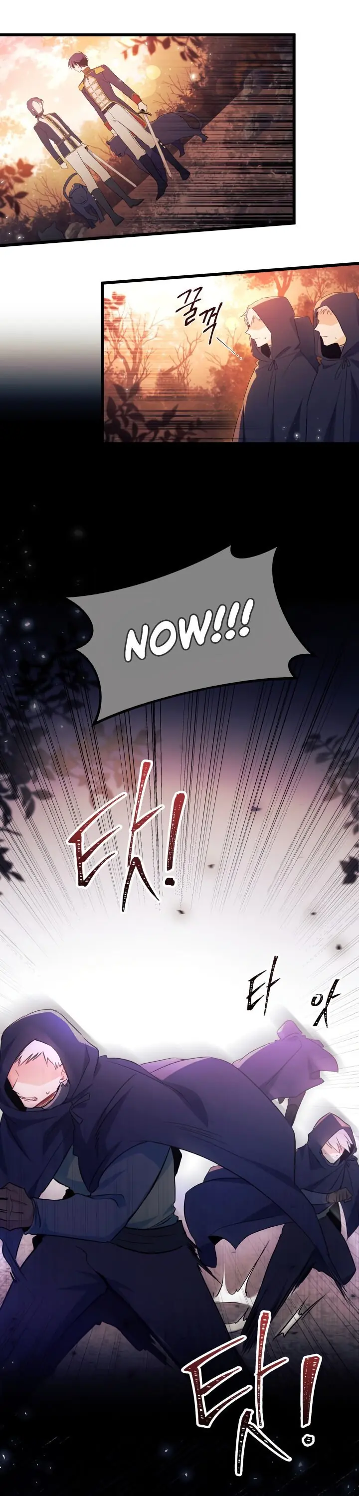 The Symbiotic Relationship Between the Rabbit and the Black Panther Chapter 12 Page 14