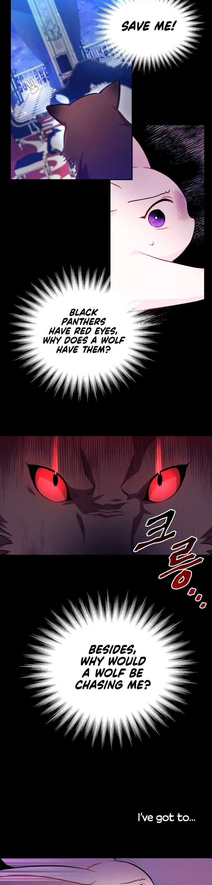 The Symbiotic Relationship Between the Rabbit and the Black Panther Chapter 14 Page 5
