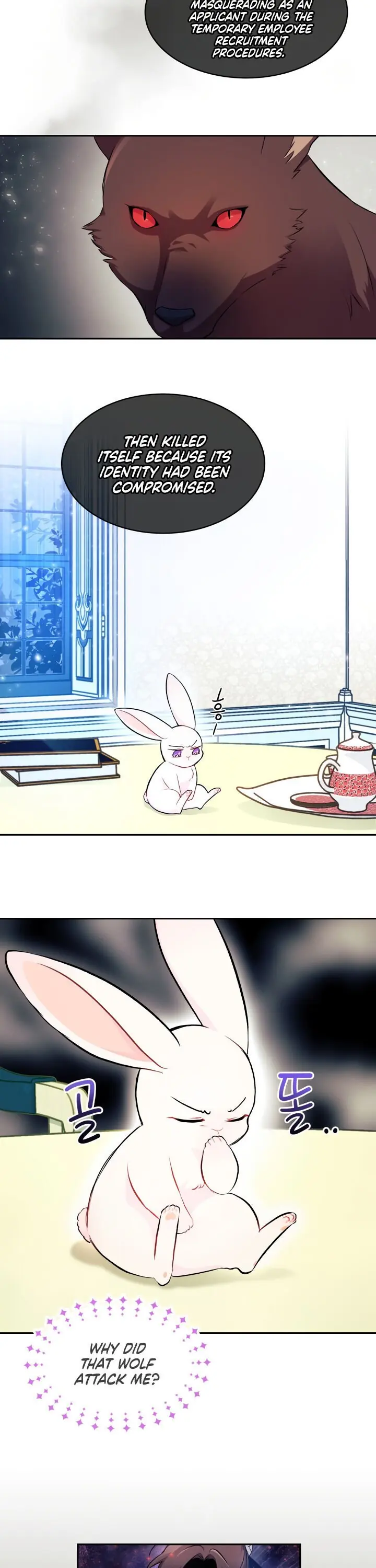 The Symbiotic Relationship Between the Rabbit and the Black Panther Chapter 15 Page 3