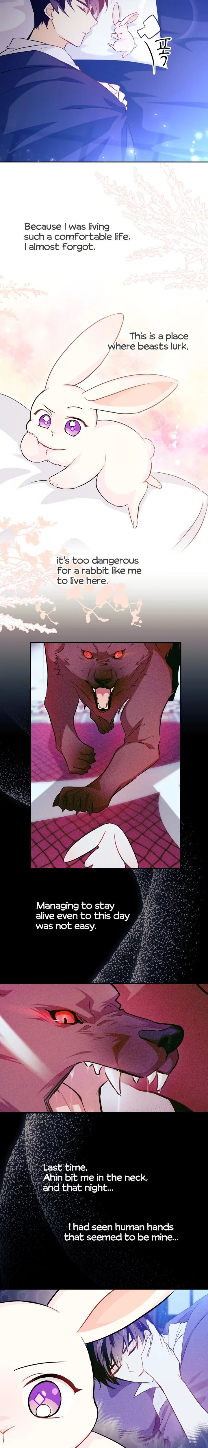 The Symbiotic Relationship Between the Rabbit and the Black Panther Chapter 16 Page 13