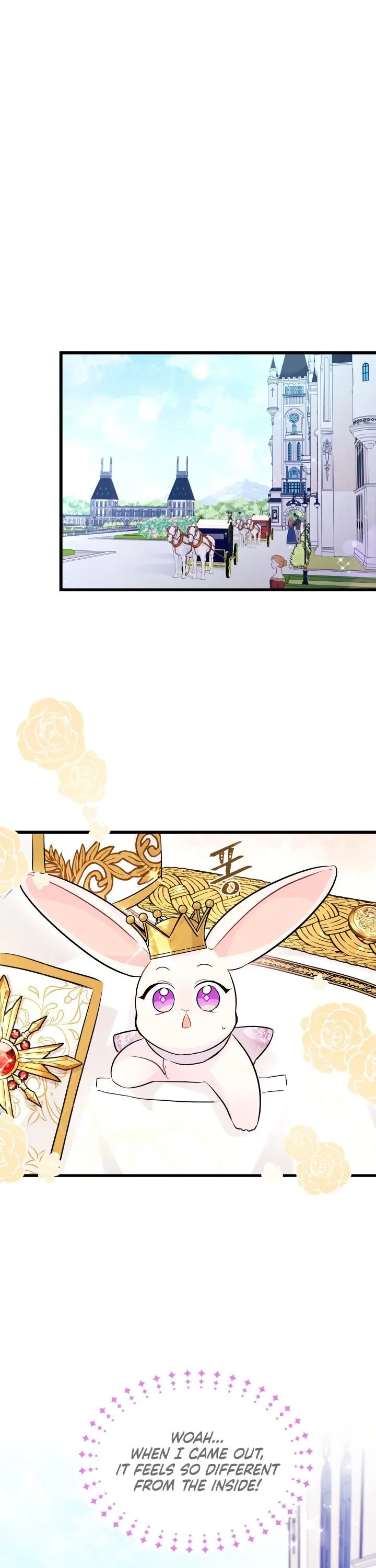 The Symbiotic Relationship Between the Rabbit and the Black Panther Chapter 17 Page 18