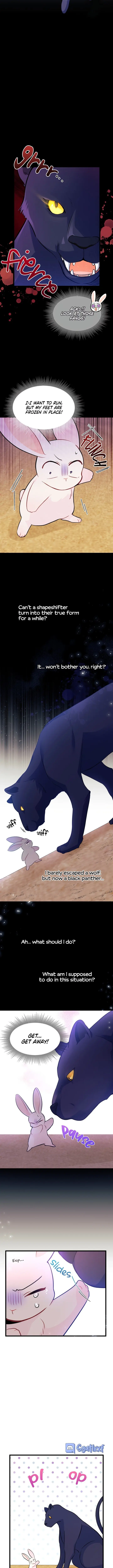 The Symbiotic Relationship Between the Rabbit and the Black Panther Chapter 23 Page 5