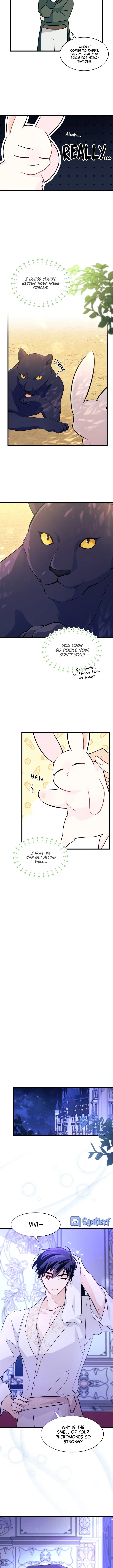 The Symbiotic Relationship Between the Rabbit and the Black Panther Chapter 23 Page 9