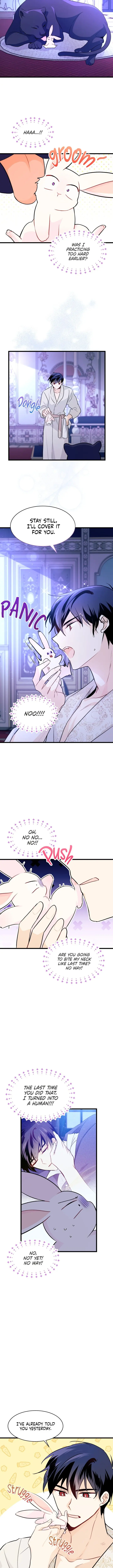 The Symbiotic Relationship Between the Rabbit and the Black Panther Chapter 23 Page 10