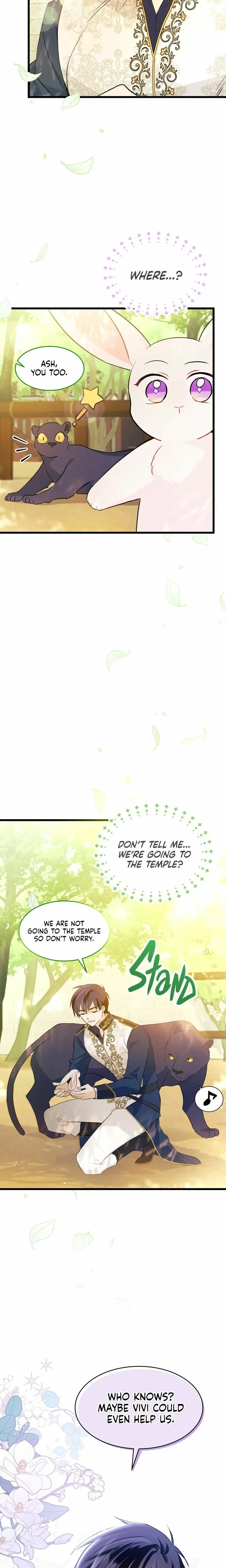 The Symbiotic Relationship Between the Rabbit and the Black Panther Chapter 26 Page 17