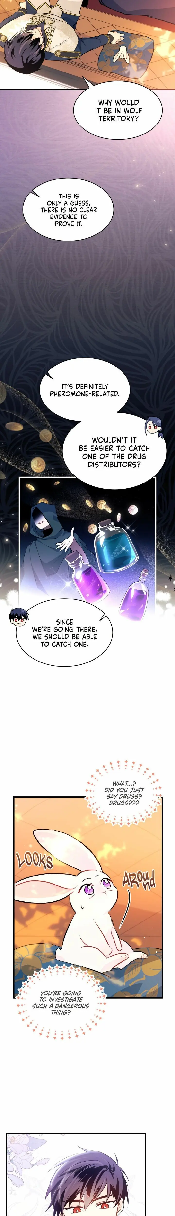 The Symbiotic Relationship Between the Rabbit and the Black Panther Chapter 26 Page 33