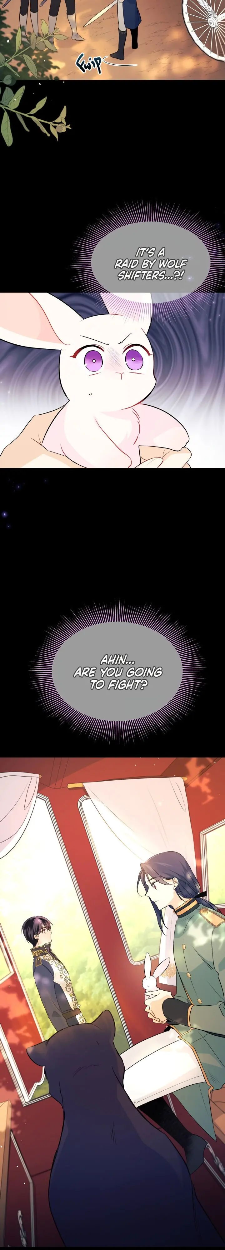 The Symbiotic Relationship Between the Rabbit and the Black Panther Chapter 27 Page 5