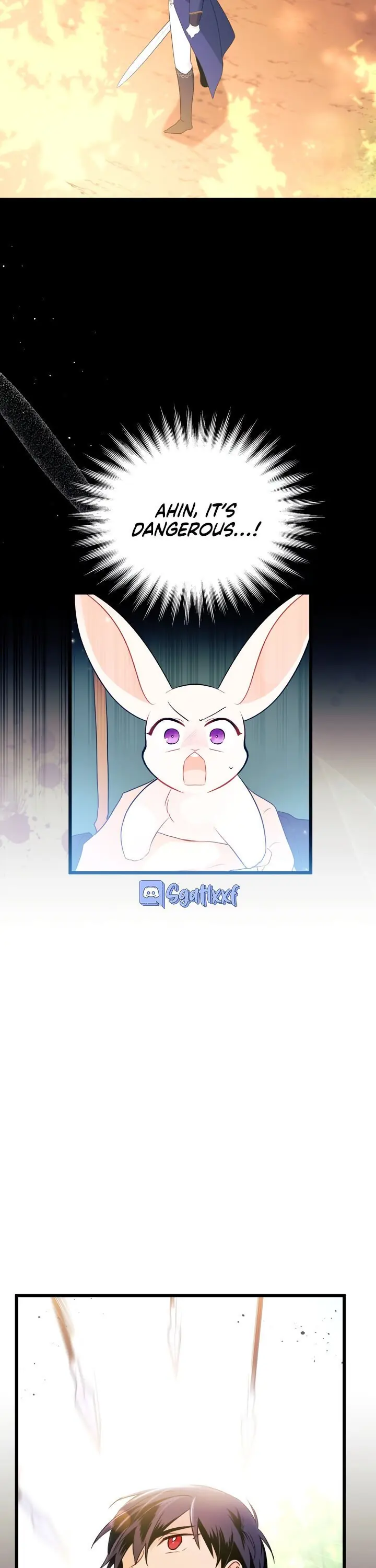 The Symbiotic Relationship Between the Rabbit and the Black Panther Chapter 27 Page 13