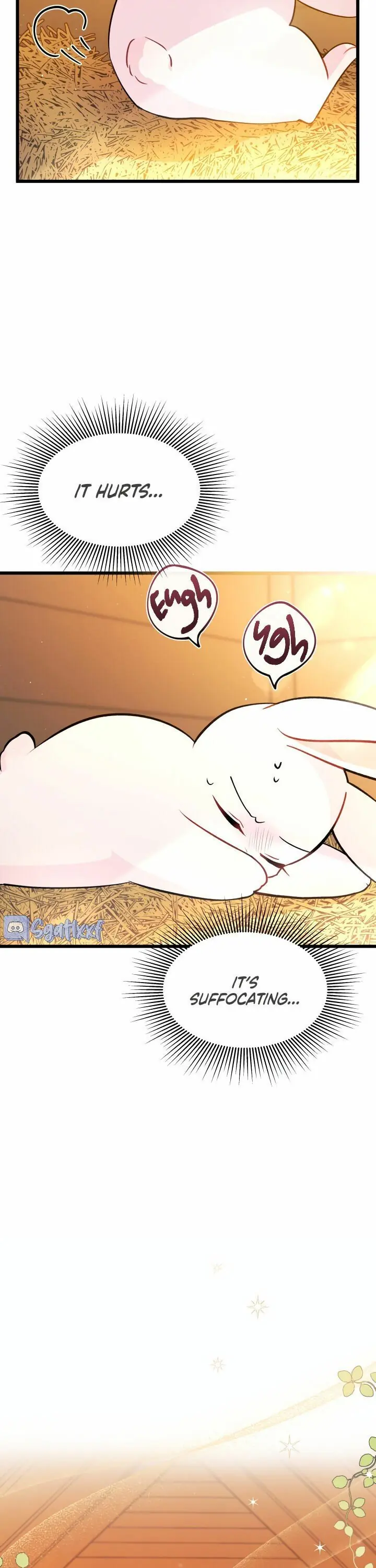 The Symbiotic Relationship Between the Rabbit and the Black Panther Chapter 28 Page 5