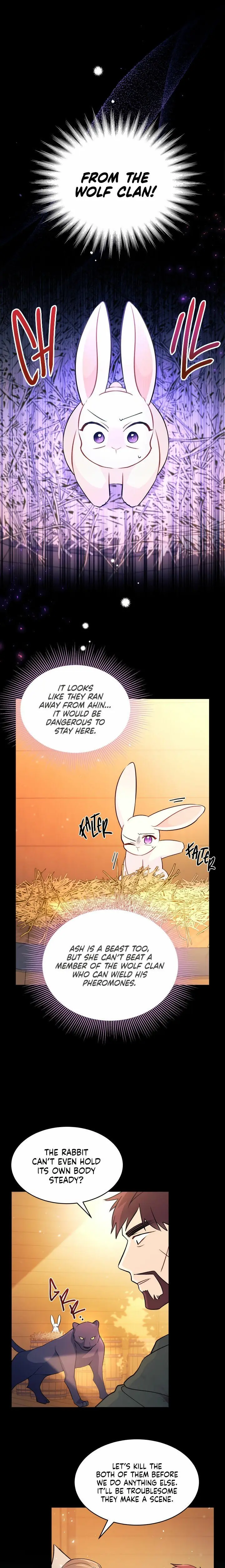 The Symbiotic Relationship Between the Rabbit and the Black Panther Chapter 28 Page 10
