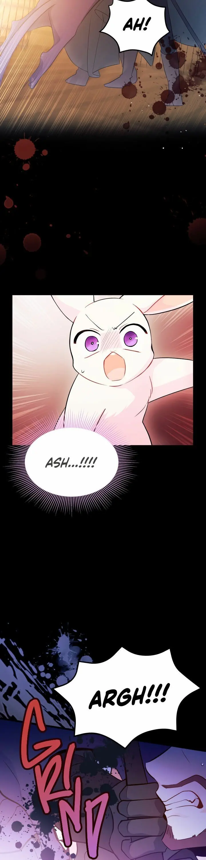 The Symbiotic Relationship Between the Rabbit and the Black Panther Chapter 28 Page 14