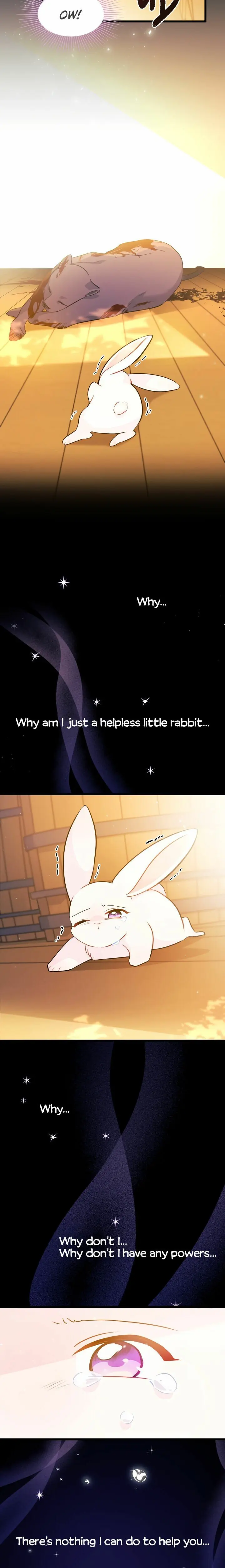 The Symbiotic Relationship Between the Rabbit and the Black Panther Chapter 28 Page 25