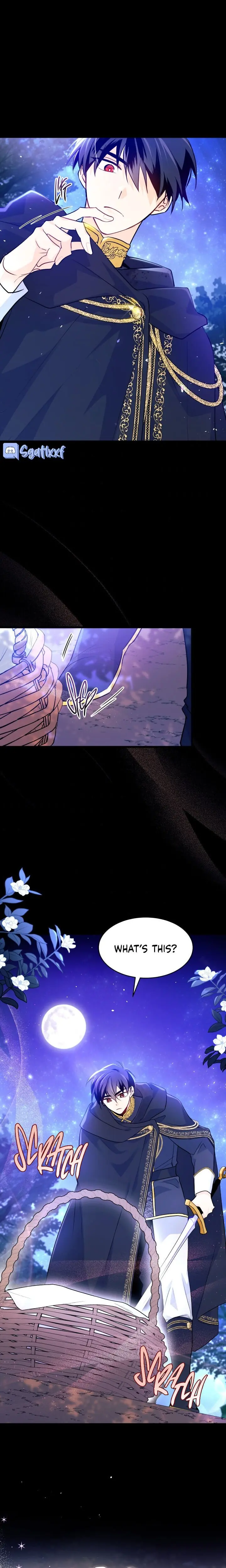 The Symbiotic Relationship Between the Rabbit and the Black Panther Chapter 29 Page 16
