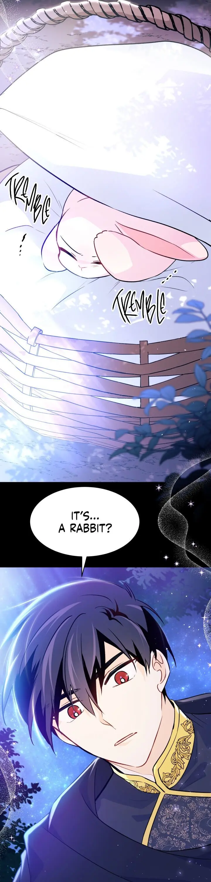 The Symbiotic Relationship Between the Rabbit and the Black Panther Chapter 29 Page 17