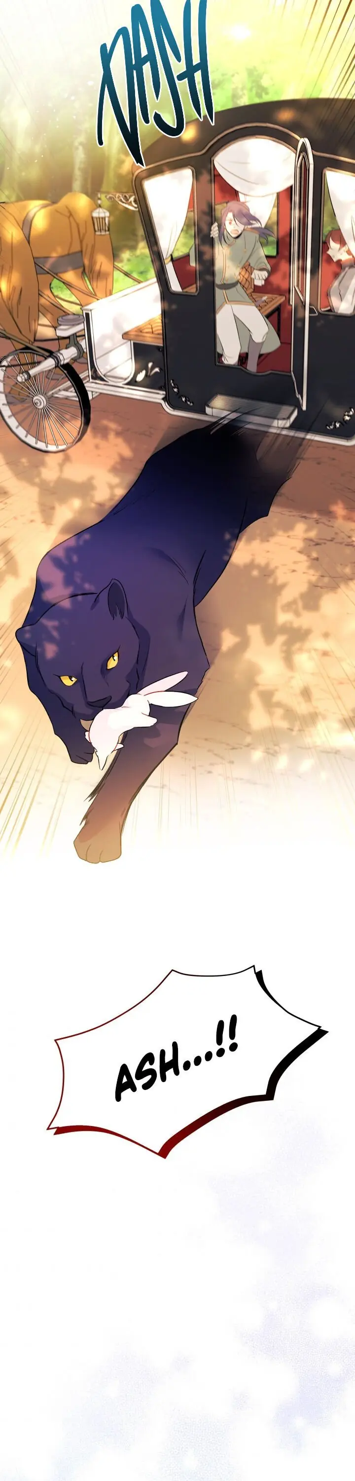 The Symbiotic Relationship Between the Rabbit and the Black Panther Chapter 29 Page 21