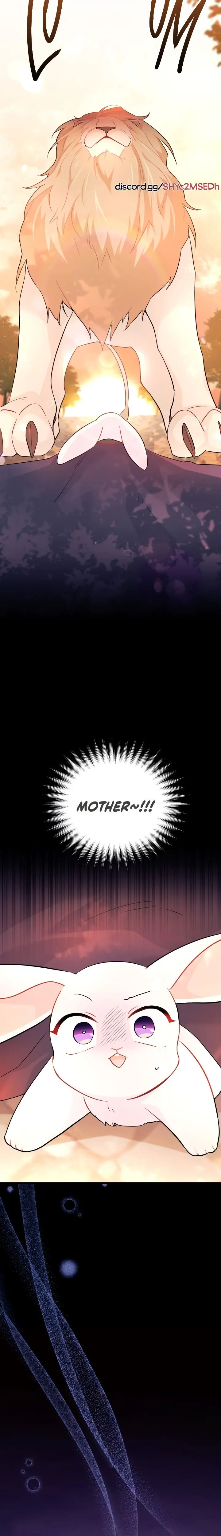 The Symbiotic Relationship Between the Rabbit and the Black Panther Chapter 33 Page 19