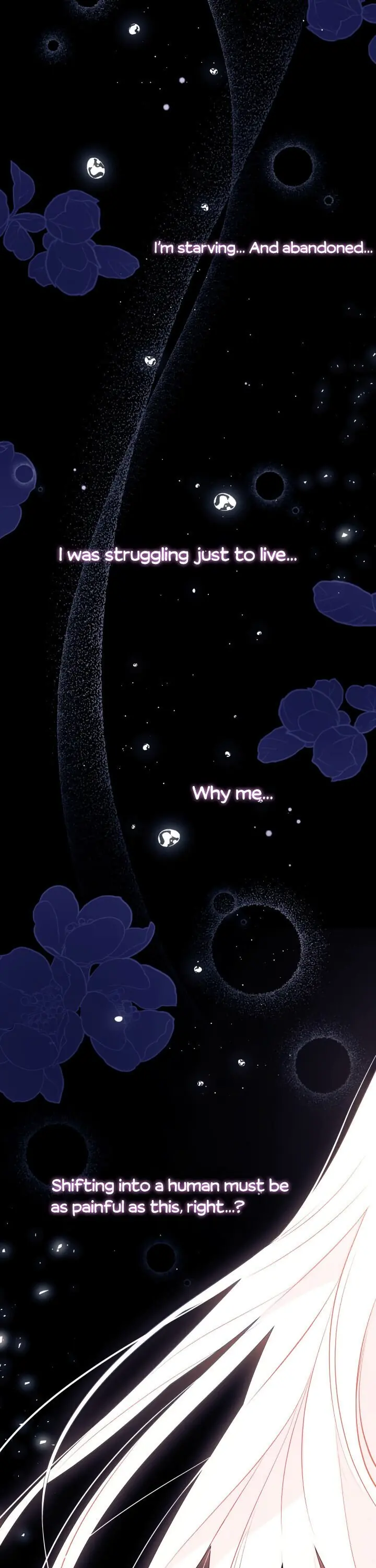 The Symbiotic Relationship Between the Rabbit and the Black Panther Chapter 39 Page 11
