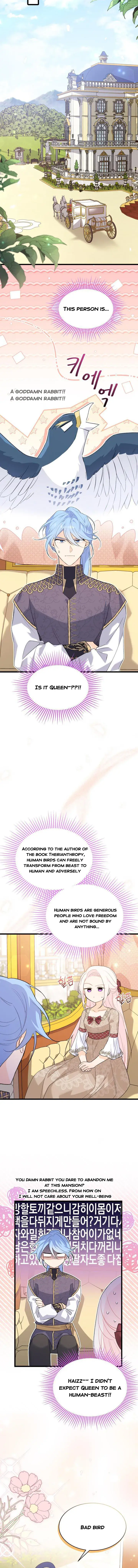 The Symbiotic Relationship Between the Rabbit and the Black Panther Chapter 78 Page 6