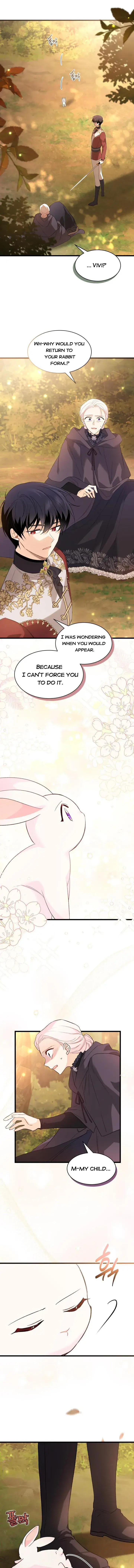 The Symbiotic Relationship Between the Rabbit and the Black Panther Chapter 81 Page 7