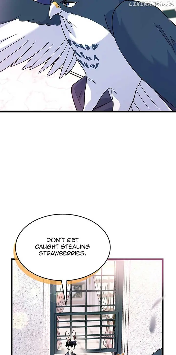 The Symbiotic Relationship Between the Rabbit and the Black Panther Chapter 125 Page 24