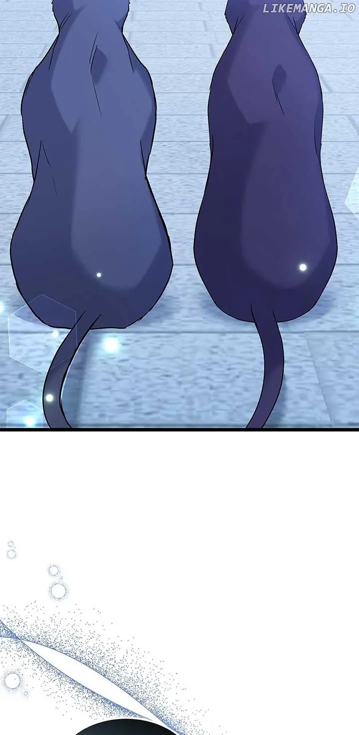 The Symbiotic Relationship Between the Rabbit and the Black Panther Chapter 125 Page 60