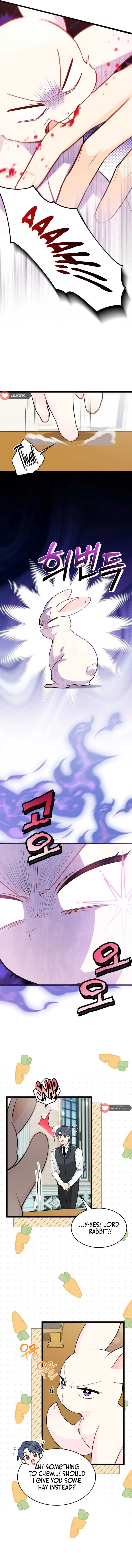 The Symbiotic Relationship Between the Rabbit and the Black Panther Chapter 152 Page 3
