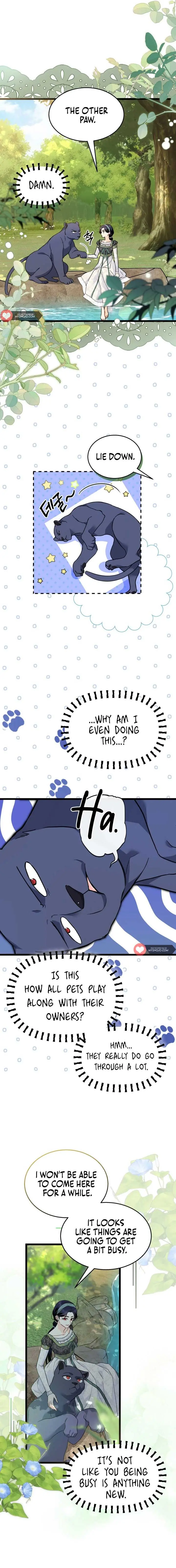 The Symbiotic Relationship Between the Rabbit and the Black Panther Chapter 153 Page 6