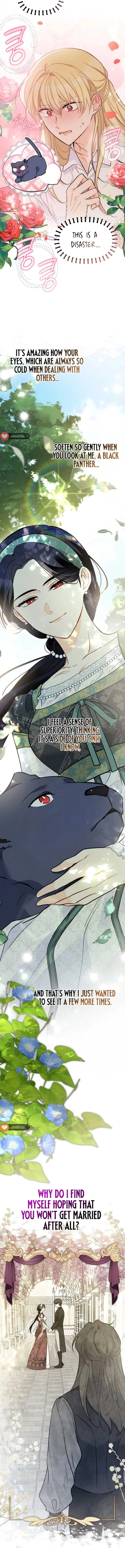 The Symbiotic Relationship Between the Rabbit and the Black Panther Chapter 153 Page 13